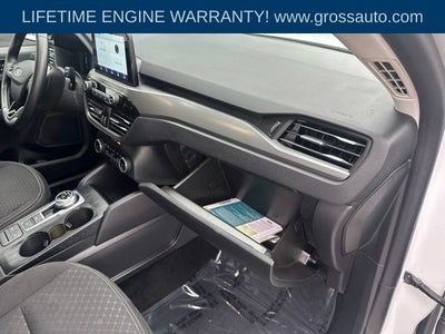 2024 Ford Escape Active